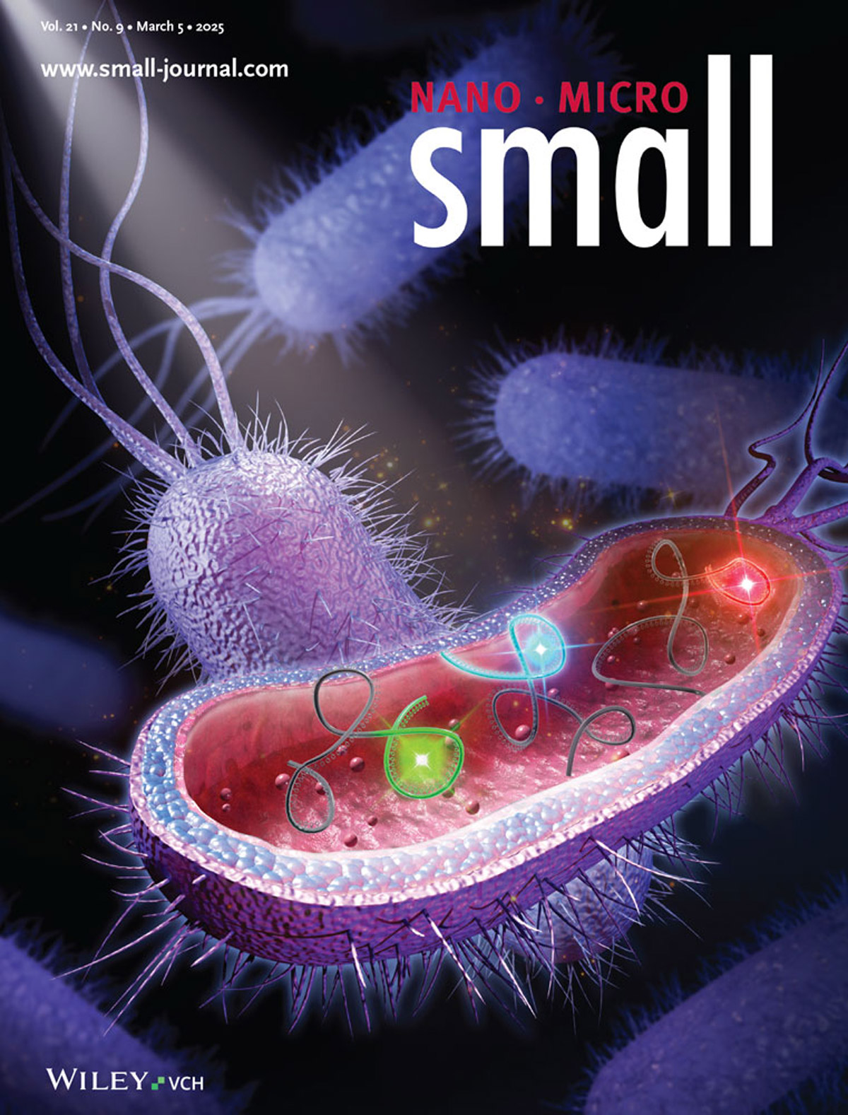 『Matéria de capa』A Myosotis inaugura uma nova era na geração de imagens de RNA!