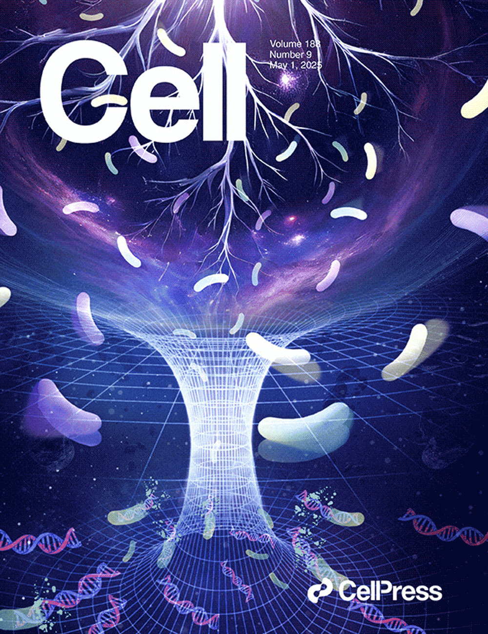 『A capa projetada por Sondii foi apresentada na Cell』Desvendando os segredos dos micróbios da rizosfera das culturas: apresentando duas grandes bibliotecas genéticas, CRBC e CRVC!!