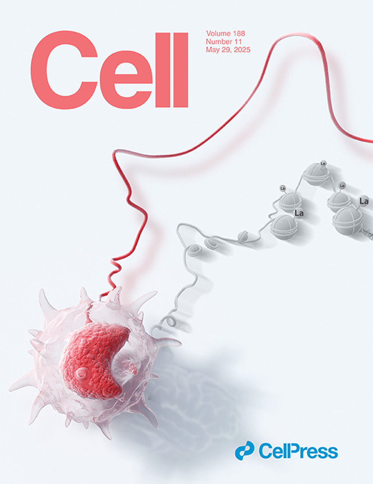 『A capa desenhada por Sondii foi apresentada na Cell』Decodificando o 