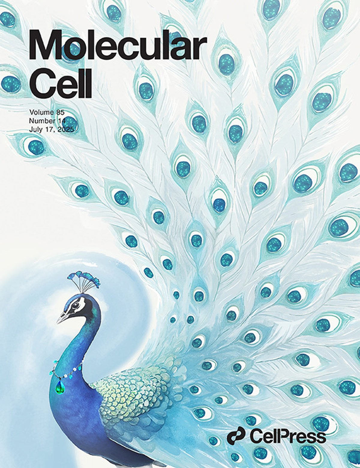 『Capa projetada foi apresentada na Molecular Cell』A modificação do ácido láctico do YTHDC1 abre um novo alvo para o tratamento do câncer renal!