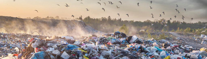 Microplastics Mystery Solved? Study Reveals Land Emits 20× More Than Oceans