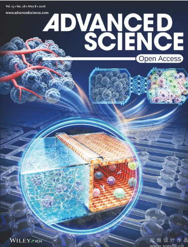 Deep Learning Meets Cancer Organs-on-Chip: Advancing Precision Cancer Medicine with AI-Powered Visualization